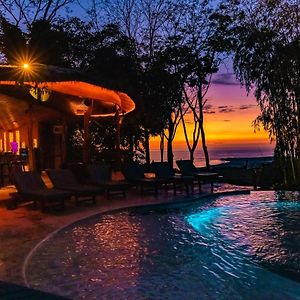 Selva Armonia Immersive Jungle Resort